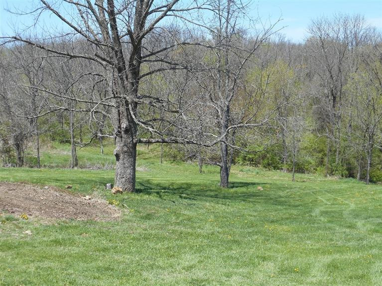 1438 Bramlage Road Independence, KY 41051 - Photo 23 of 29 Gallery Image 23