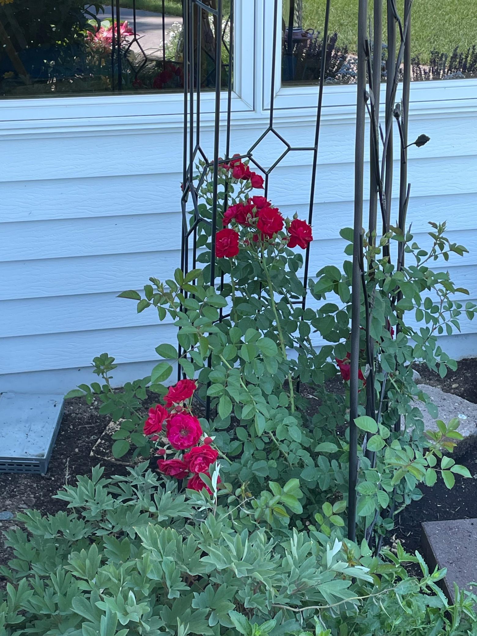 1960 Long Bridge Road Detroit Lakes, MN 56501 - Photo 48 of 55