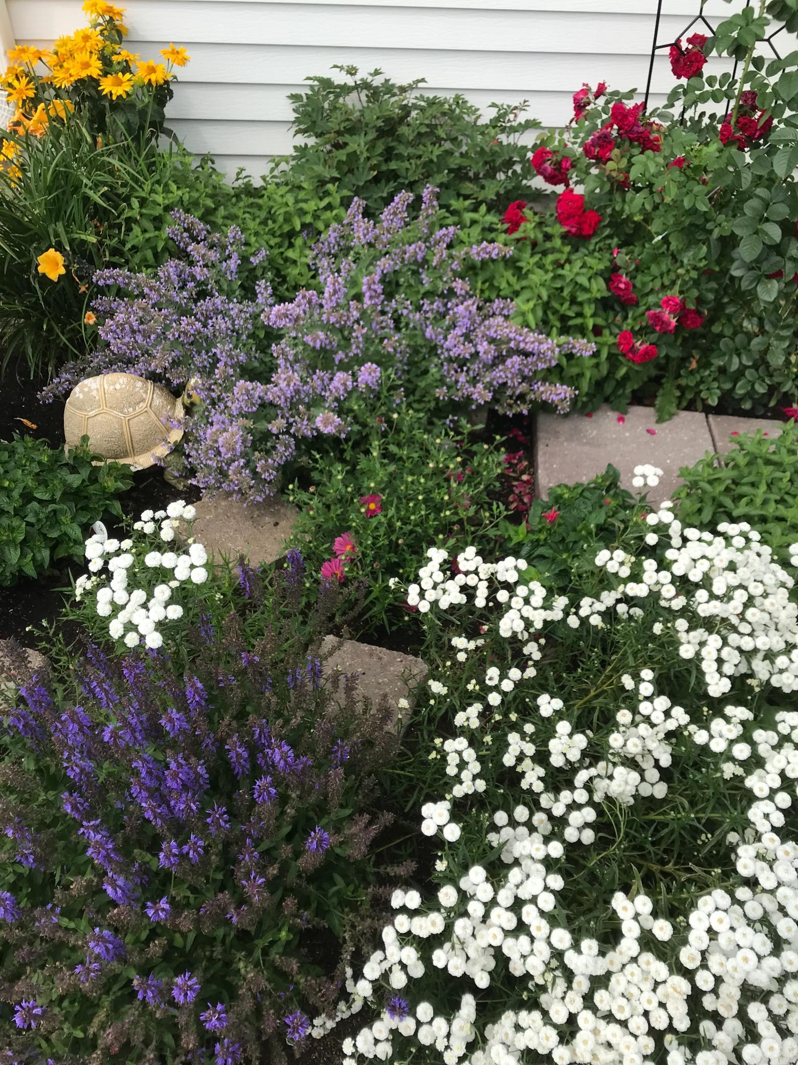 1960 Long Bridge Road Detroit Lakes, MN 56501 - Photo 51 of 55