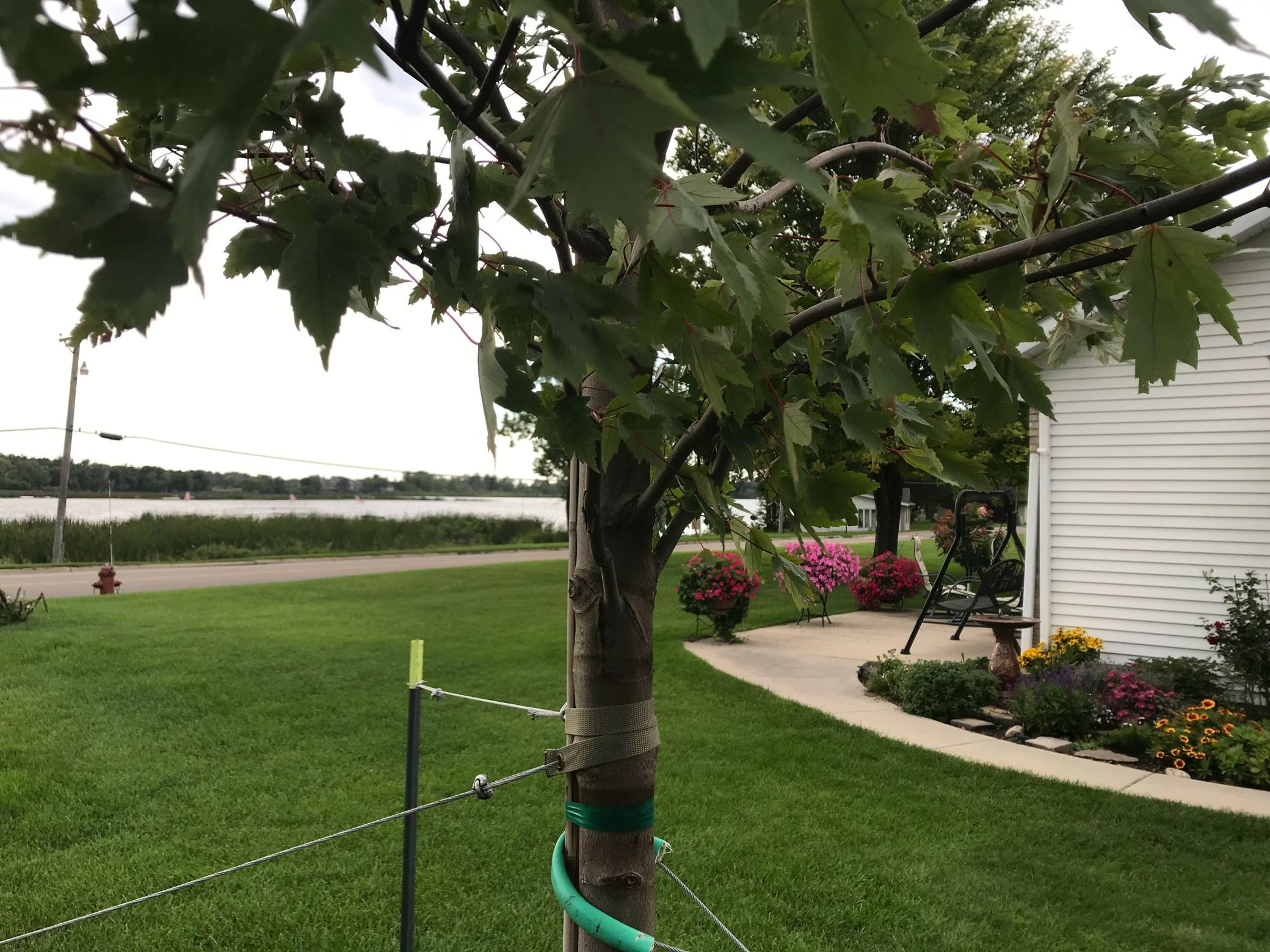 1960 Long Bridge Road Detroit Lakes, MN 56501 - Photo 52 of 55