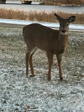 $565,000 | 1960 Long Bridge Road, Detroit Lakes, MN 56501