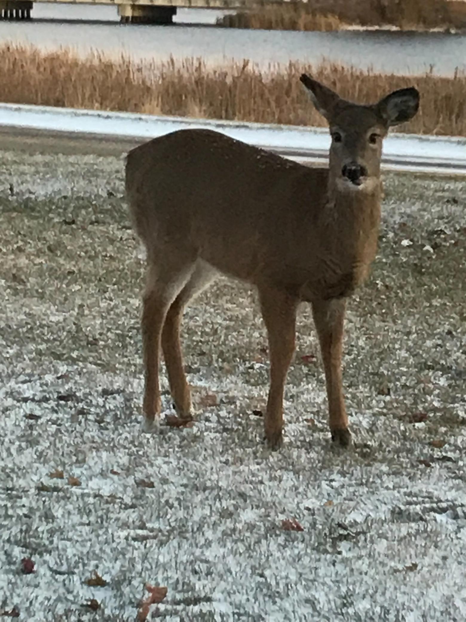 1960 Long Bridge Road Detroit Lakes, MN 56501 - Photo 53 of 55