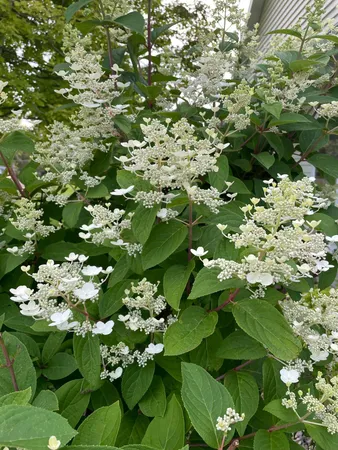 $565,000 | 1960 Long Bridge Road, Detroit Lakes, MN 56501