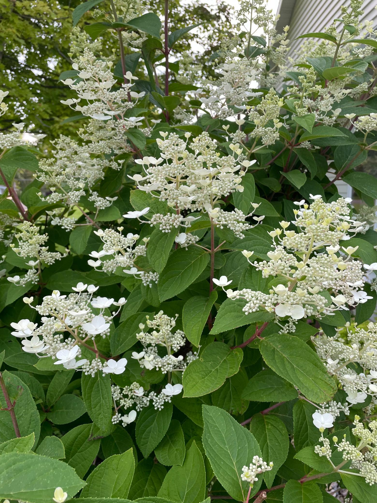 1960 Long Bridge Road Detroit Lakes, MN 56501 - Photo 54 of 55