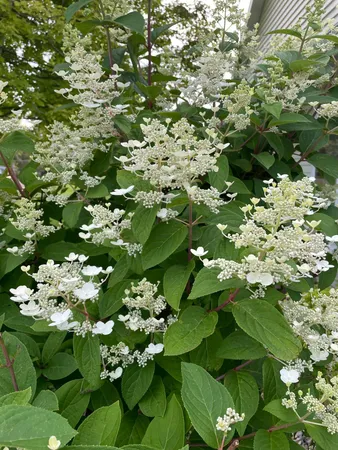 $565,000 | 1960 Long Bridge Road, Detroit Lakes, MN 56501