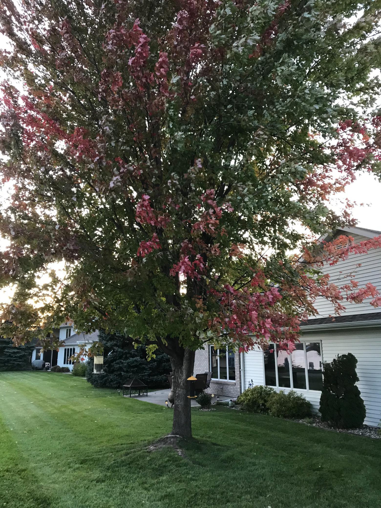 1960 Long Bridge Road Detroit Lakes, MN 56501 - Photo 6 of 55