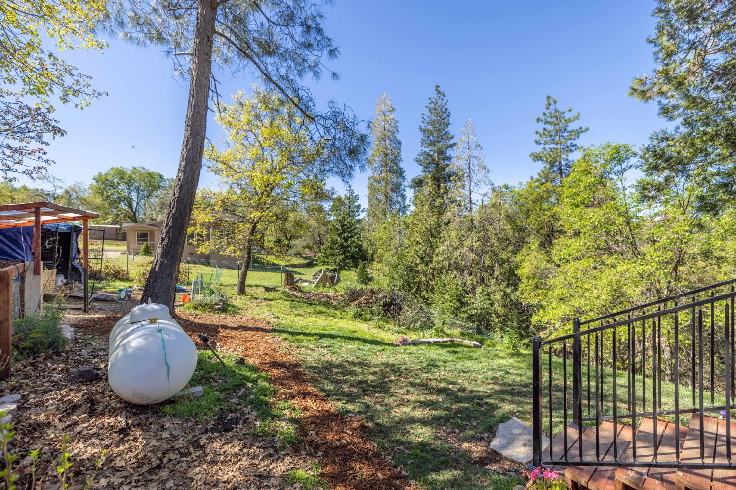 5015 Shooting Star Road Pollock Pines, CA 95726 - Photo 26 of 44 a view of outdoor space and garden