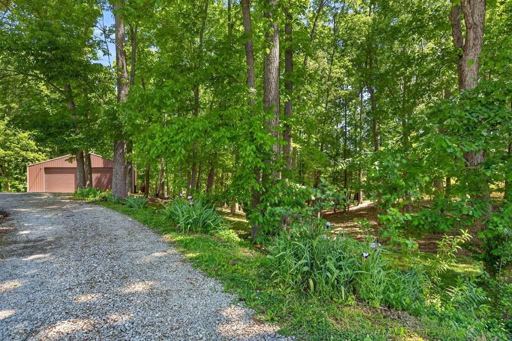 143 Griffintown Road Sparta, TN 38583 - Photo 10 of 35 a view of a backyard with plants and large trees