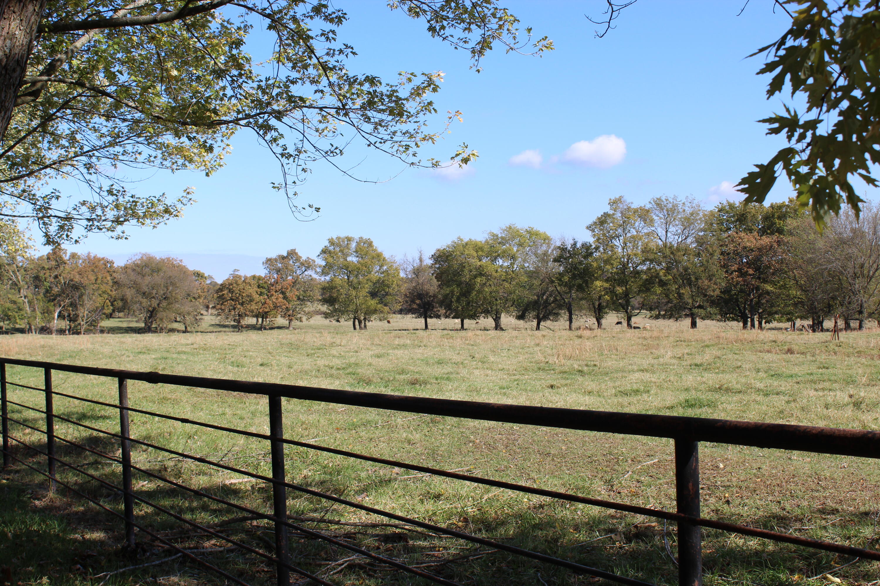 20776 116th Highway Colcord, OK 74338 - Photo 27 of 28 Gallery Image 27
