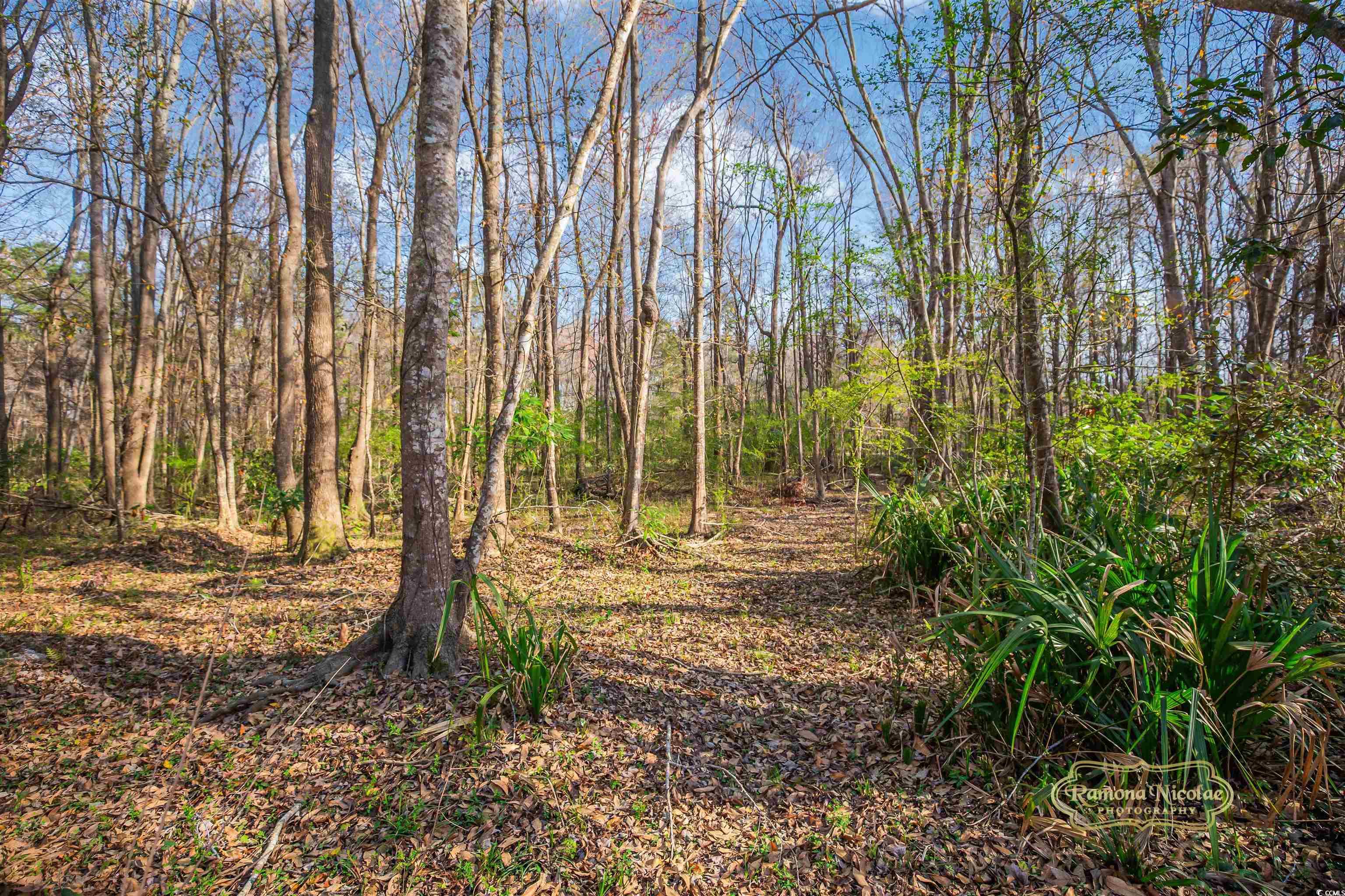 3740 Limerick Road Myrtle Beach, SC 29579 - Photo 23 of 29 Gallery Image 23