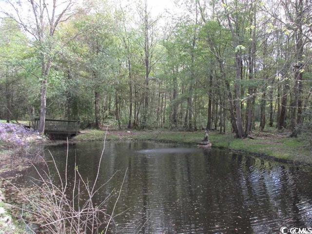 3740 Limerick Road Myrtle Beach, SC 29579 - Photo 29 of 29 Property view of water with a forest view