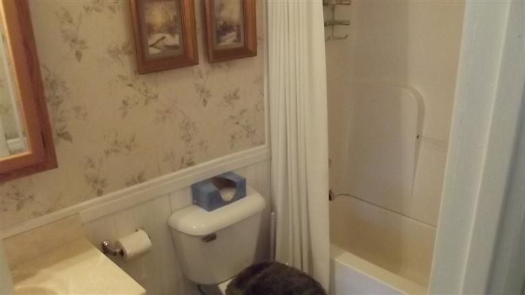 478 Clarendon Road Quincy, MI 49082 - Photo 16 of 24 Additional Photo