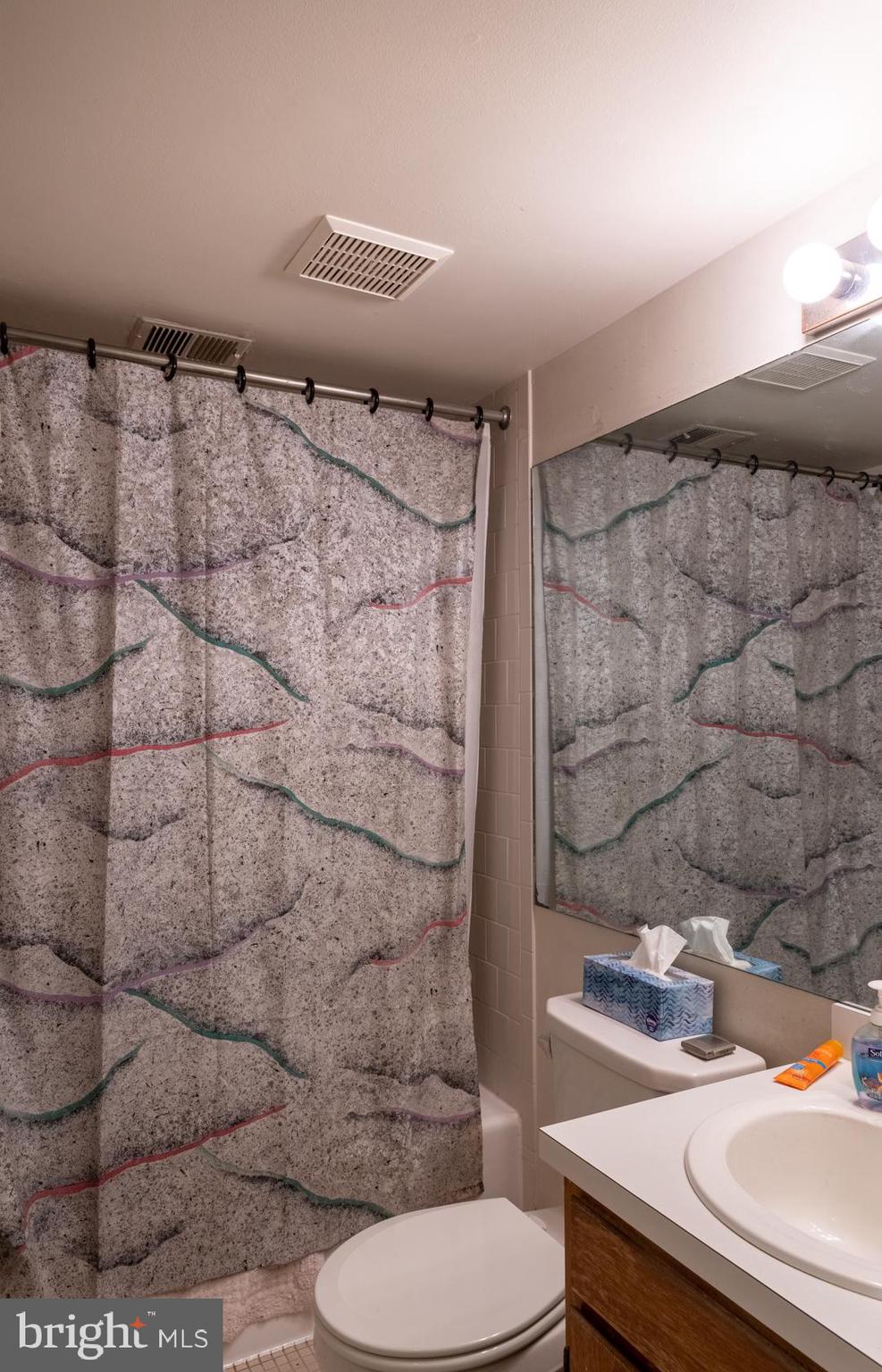 4230 River Road Northwest Washington, DC 20016 - Photo 5 of 11 sample bath