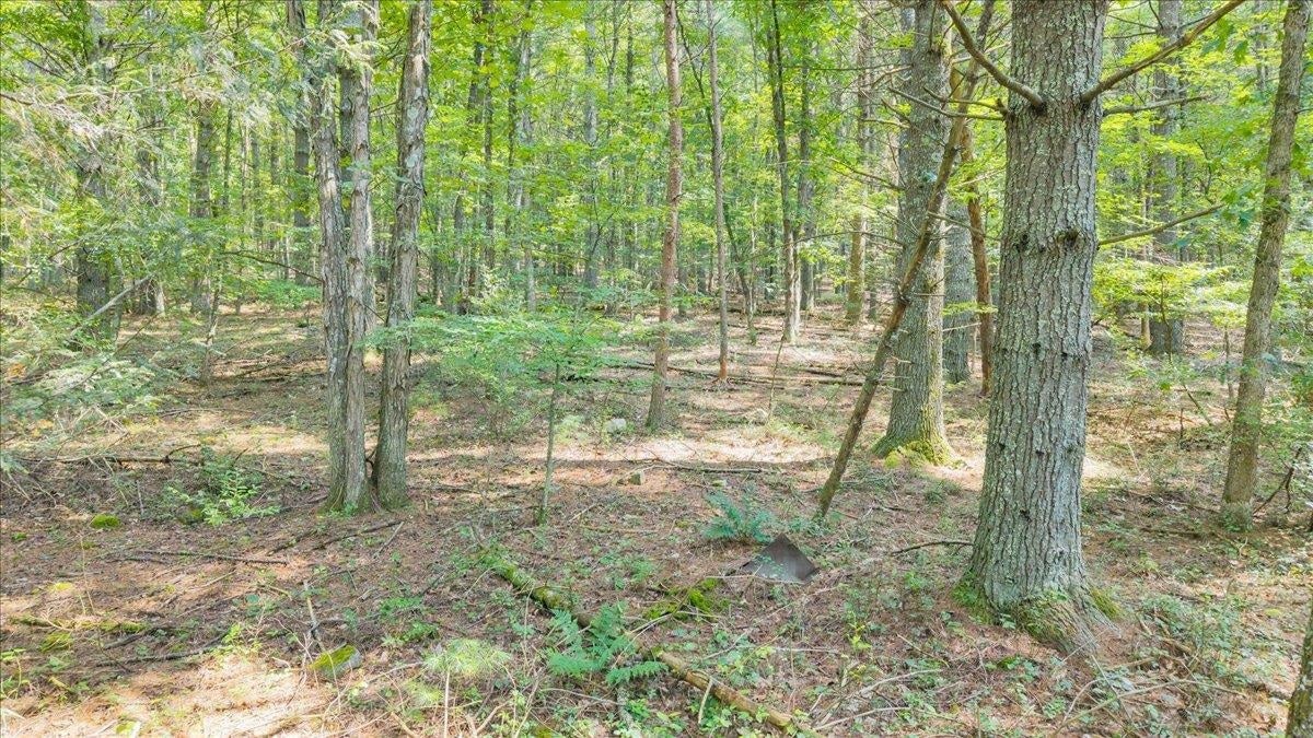 0 Paint Bank Road New Castle, VA 24127 - Photo 10 of 13 Gallery Image 10