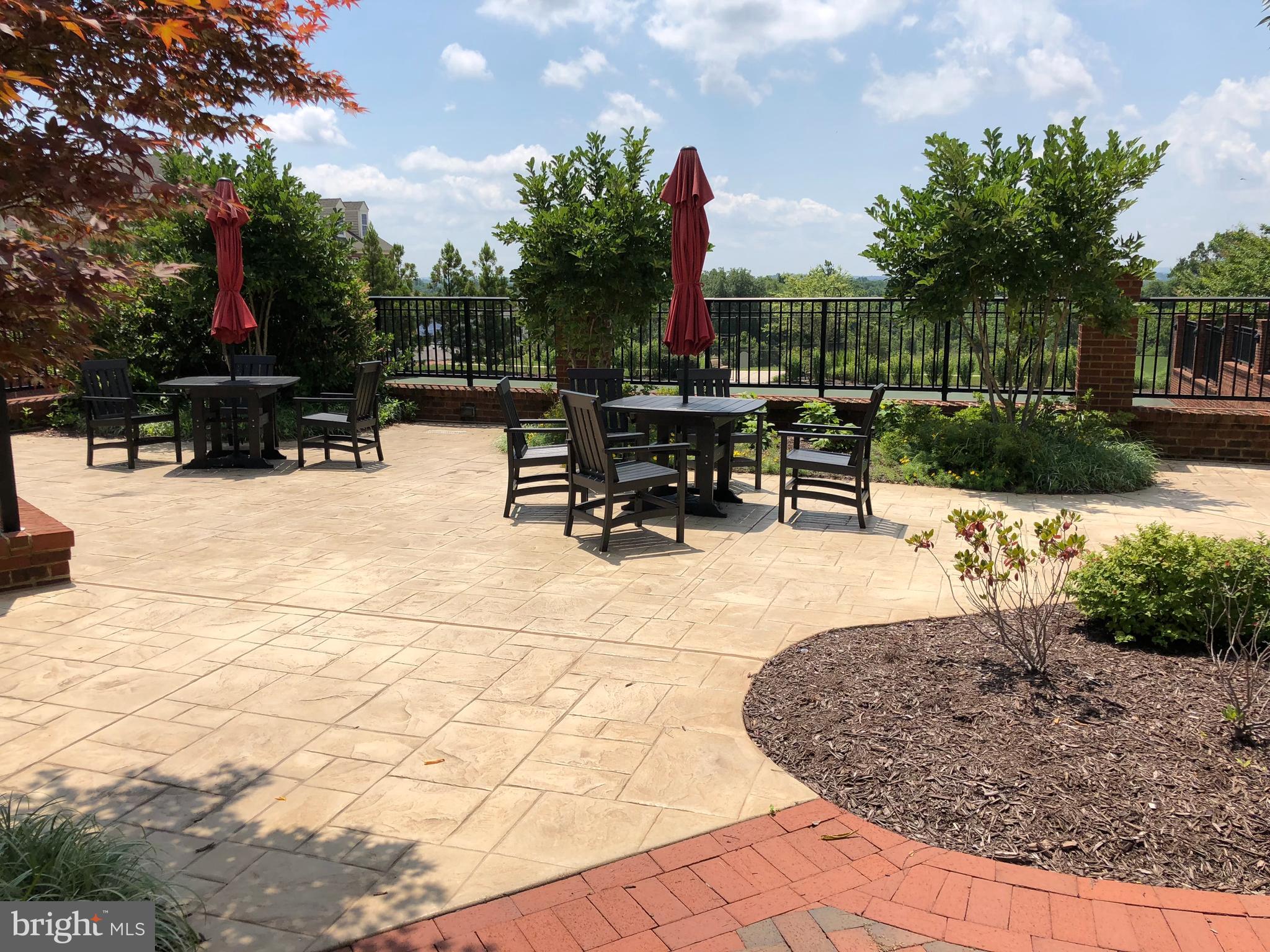 1414 Musgrove Alley Brunswick, MD 21716 - Photo 53 of 64 a swimming pool with outdoor seating and plants