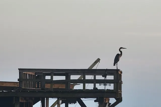 $92,000 | 701 Mockingbird Hills Drive, Livingston, TX 77351