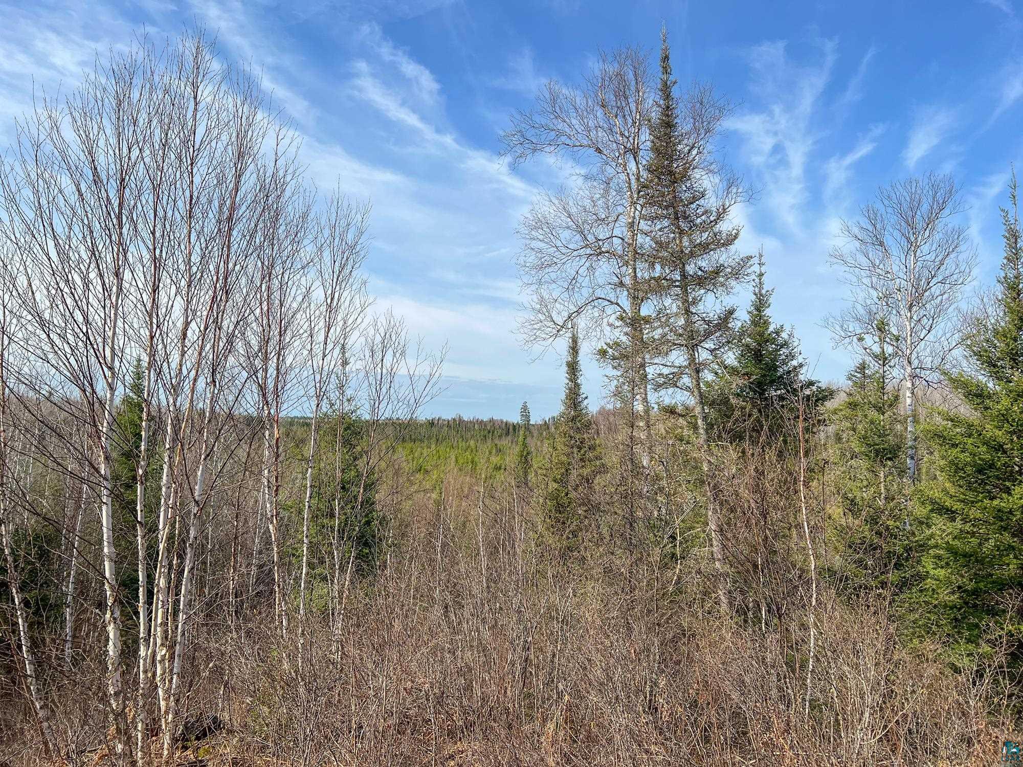 Xxxtbd Kelly Trail Isabella, MN 55607 - Photo 21 of 33 Gallery Image 21
