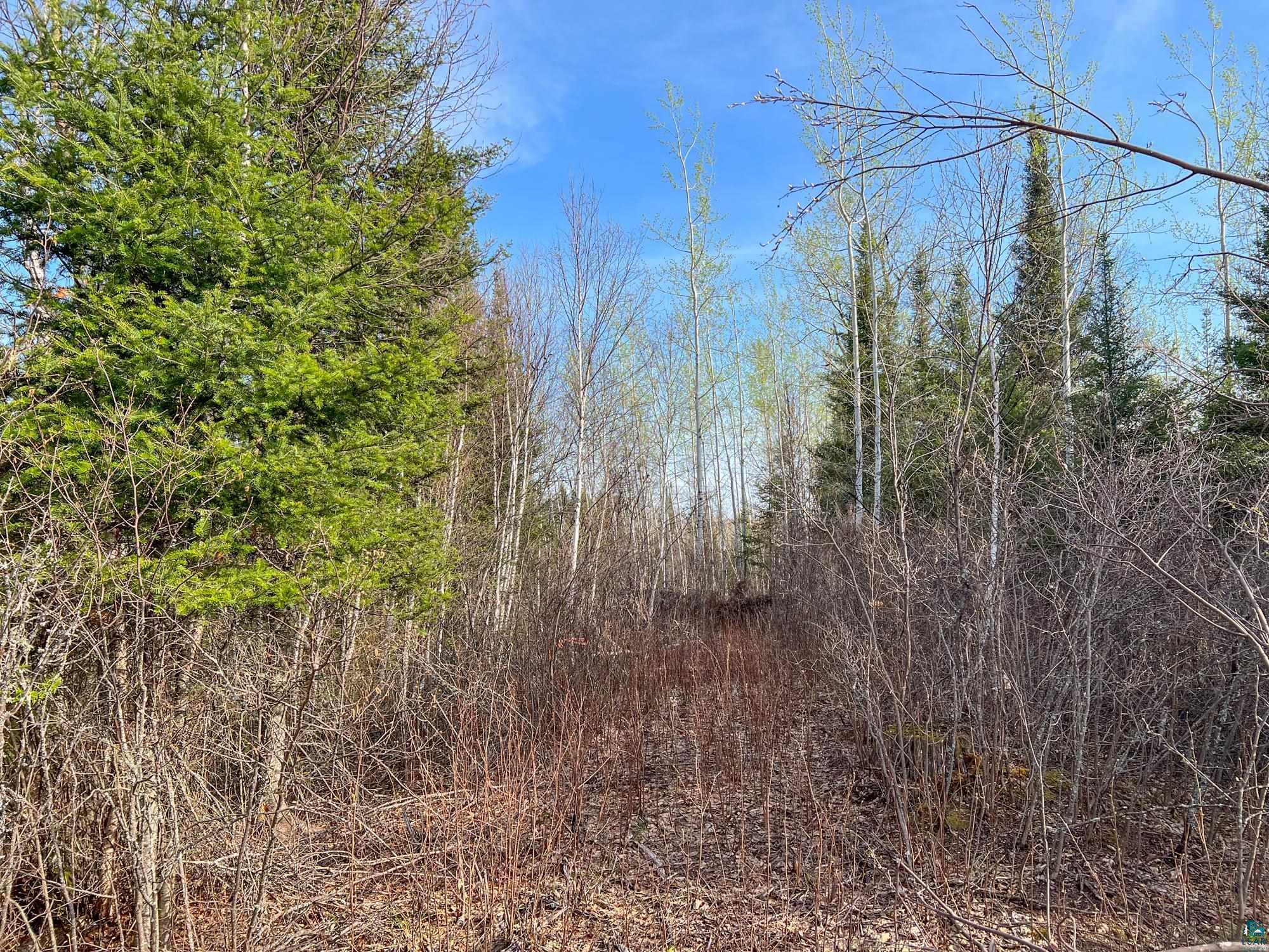 Xxxtbd Kelly Trail Isabella, MN 55607 - Photo 23 of 33 Gallery Image 23