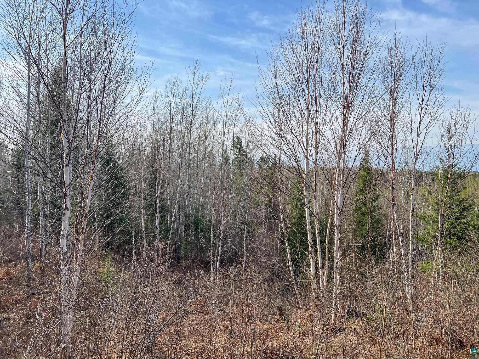 Xxxtbd Kelly Trail Isabella, MN 55607 - Photo 25 of 33 Gallery Image 25