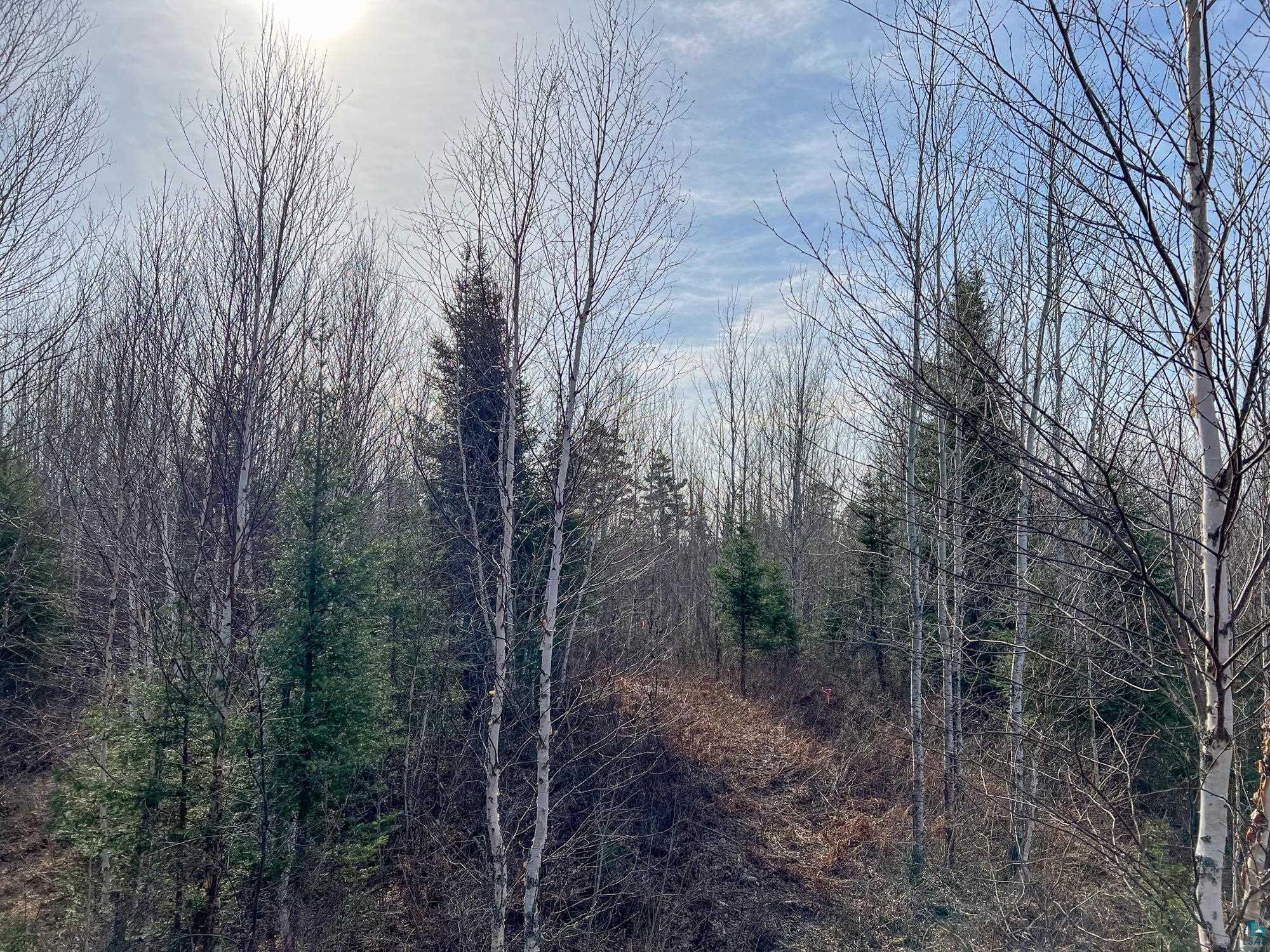 Xxxtbd Kelly Trail Isabella, MN 55607 - Photo 27 of 33 Gallery Image 27