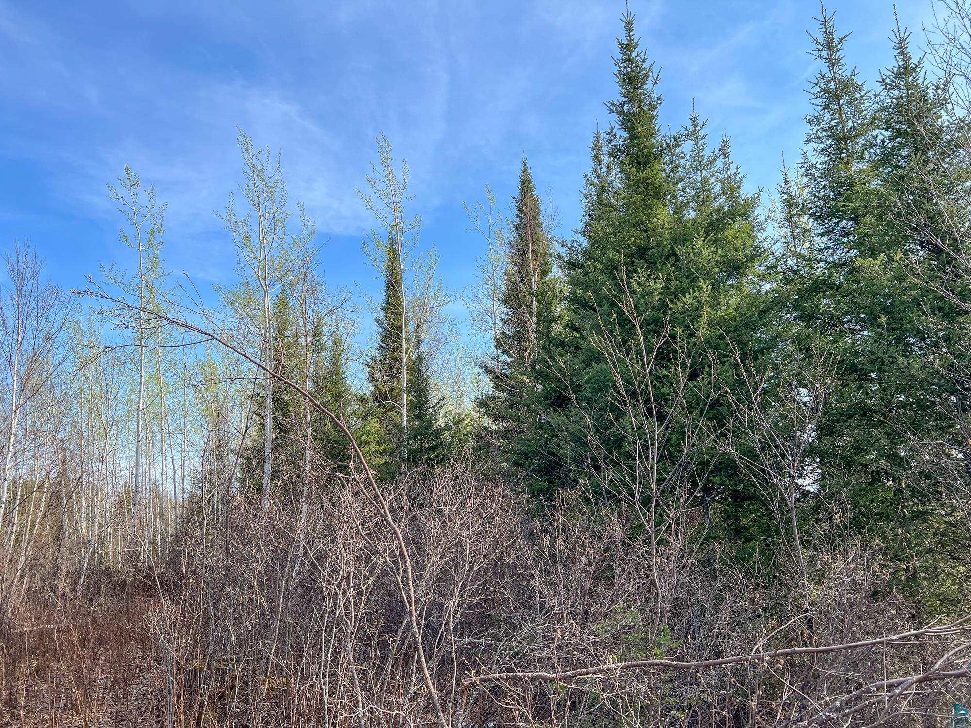 Xxxtbd Kelly Trail Isabella, MN 55607 - Photo 29 of 33 Gallery Image 29