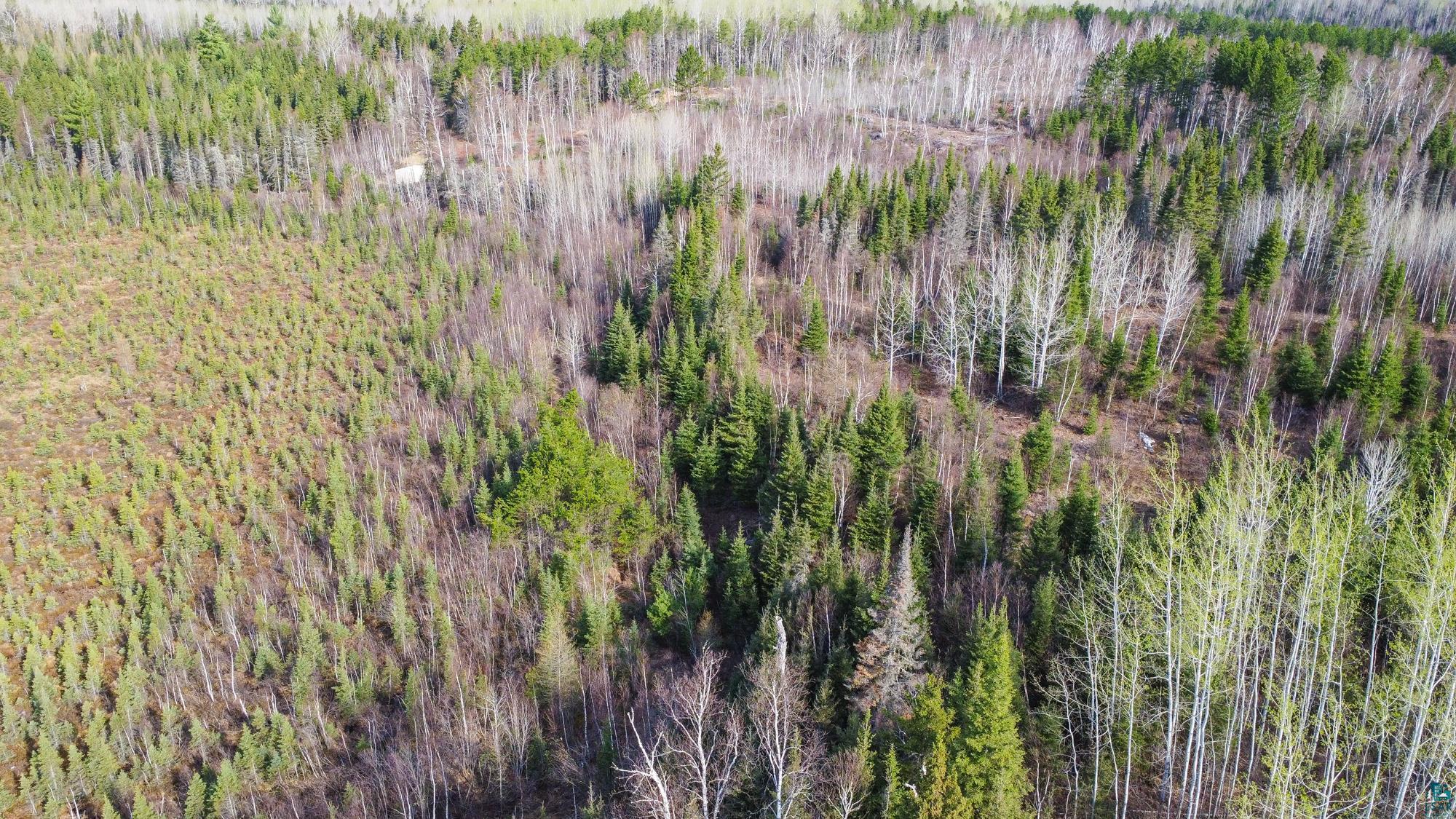 Xxxtbd Kelly Trail Isabella, MN 55607 - Photo 4 of 33 Gallery Image 4
