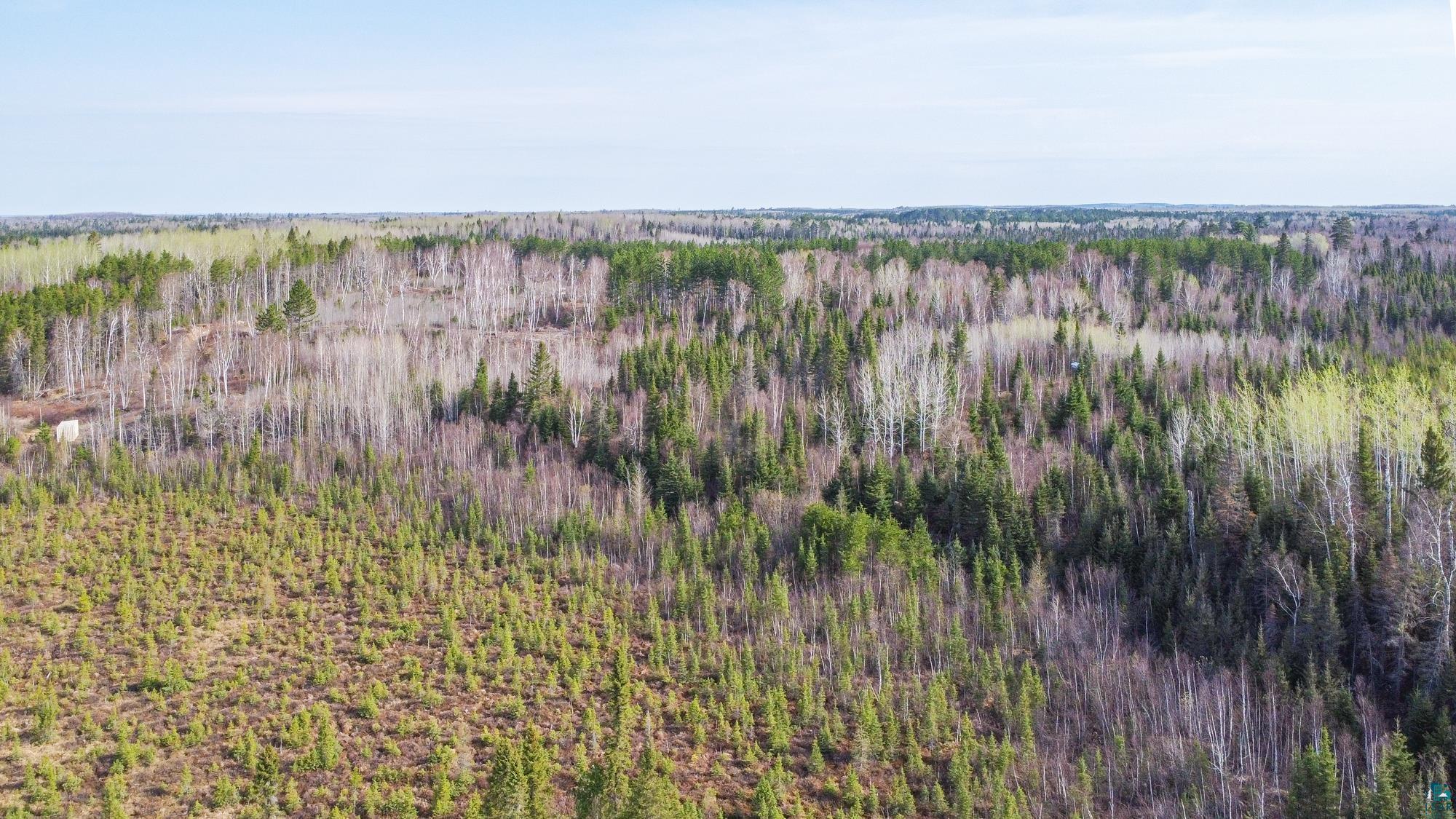 Xxxtbd Kelly Trail Isabella, MN 55607 - Photo 5 of 33 Gallery Image 5