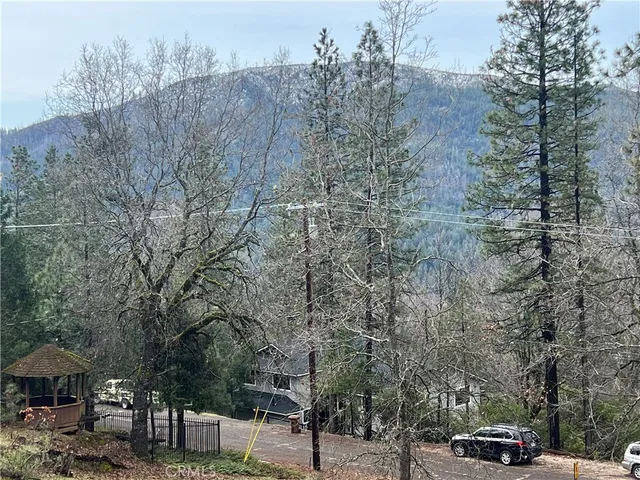 a view of a yard with trees