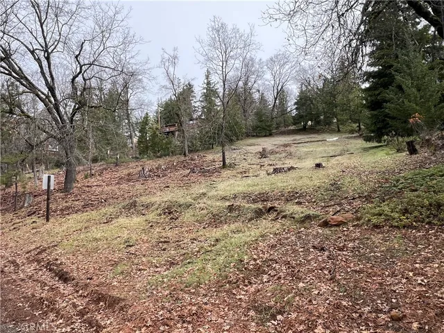 a view of a yard with trees