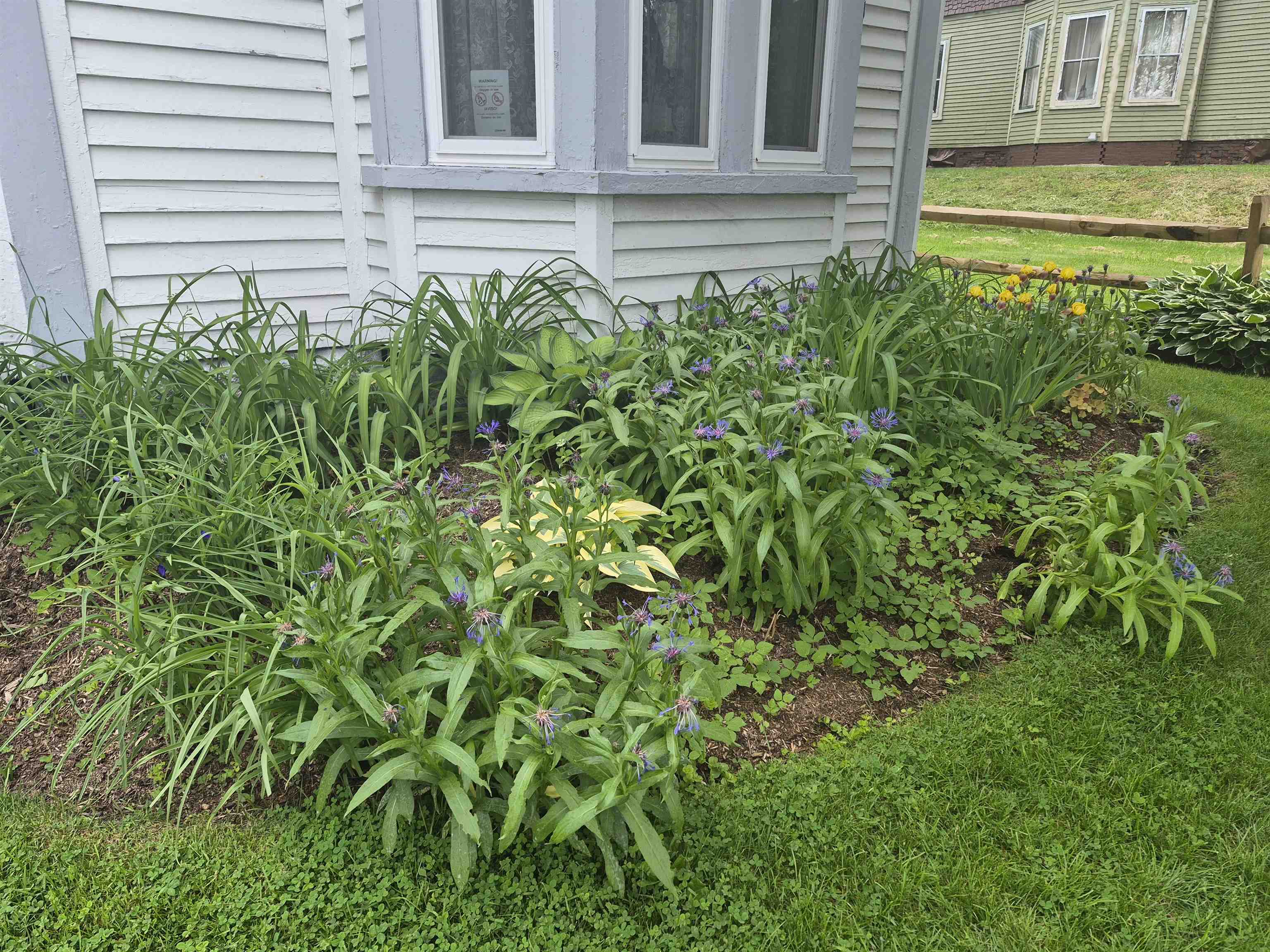 48 Middle Street Lancaster, NH 03584 - Photo 38 of 44