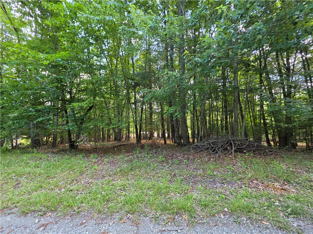 Lot 51 Toms Knob Road, Unit 1 51 Sparta, NC 28675 - Photo 5 of 5
