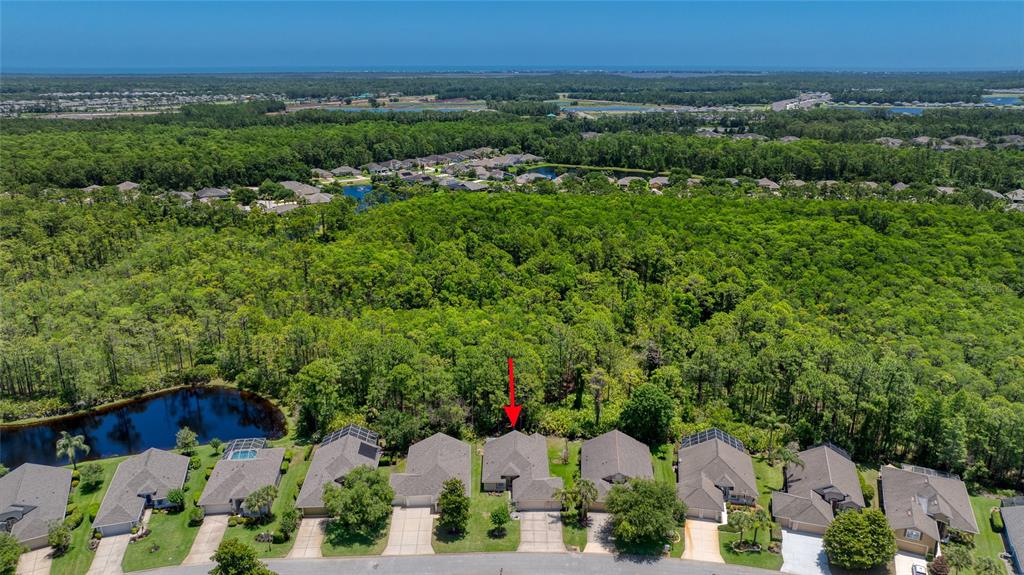 1223 Crown Pointe Lane Ormond Beach, FL 32174 - Photo 4 of 52