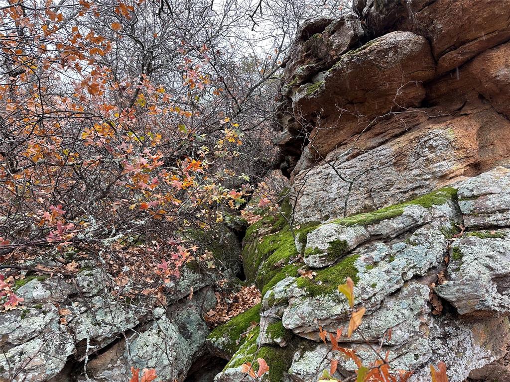 5730 Gobbler Hollow Road Brownwood, TX 76801 - Photo 12 of 37 a backyard of a house
