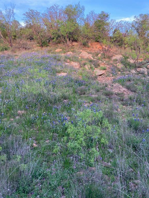 5730 Gobbler Hollow Road Brownwood, TX 76801 - Photo 14 of 37 a view of a field of grass and trees