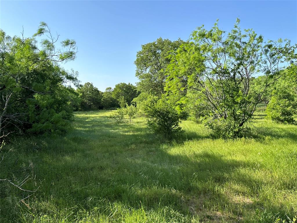 5730 Gobbler Hollow Road Brownwood, TX 76801 - Photo 15 of 37 a view of a lush green space