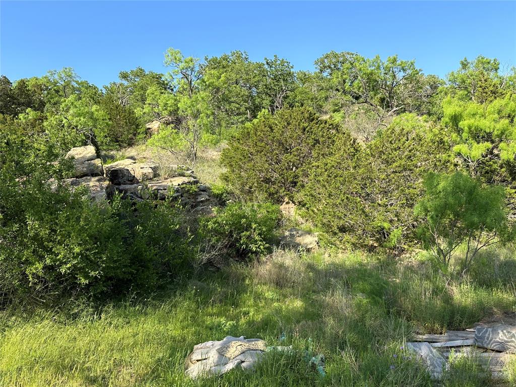5730 Gobbler Hollow Road Brownwood, TX 76801 - Photo 19 of 37 a view of a garden
