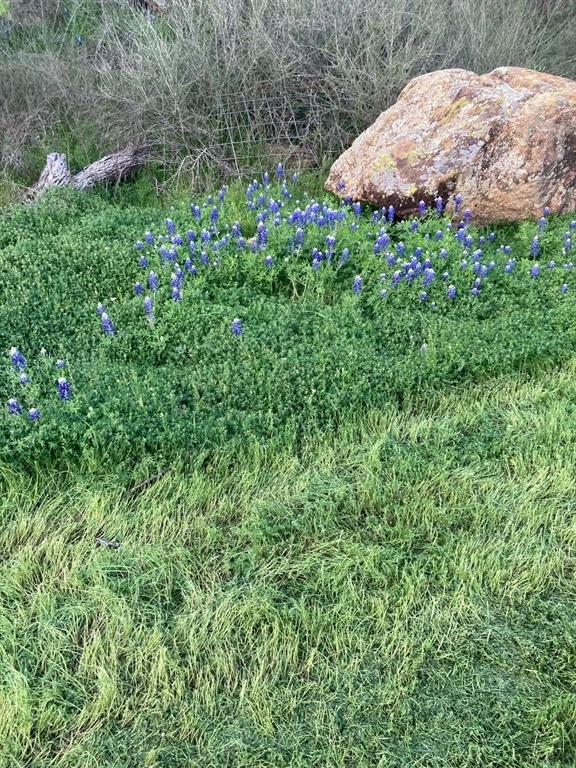 5730 Gobbler Hollow Road Brownwood, TX 76801 - Photo 20 of 37 a view of a backyard