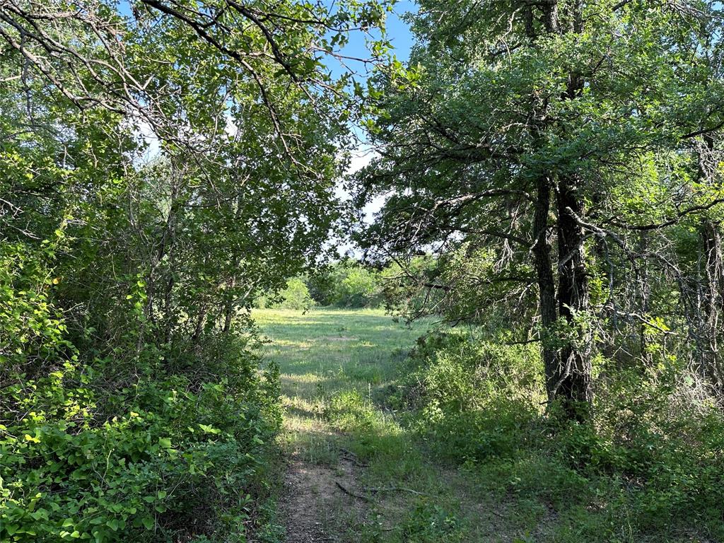 5730 Gobbler Hollow Road Brownwood, TX 76801 - Photo 24 of 37 a view of outdoor space and yard