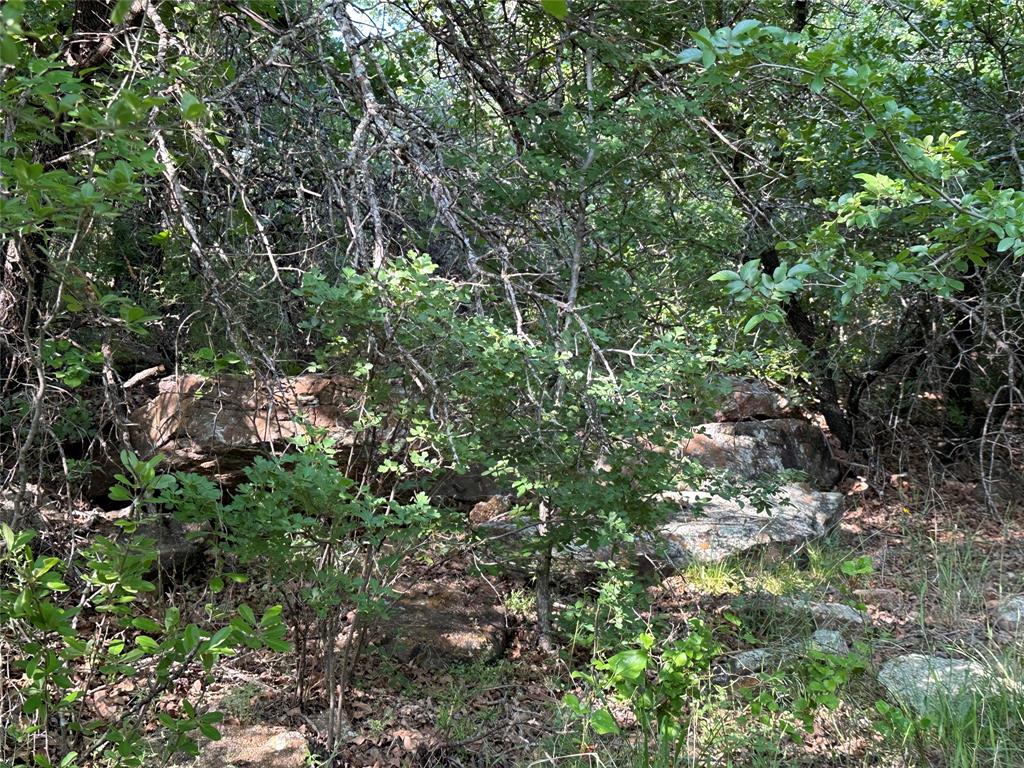 5730 Gobbler Hollow Road Brownwood, TX 76801 - Photo 27 of 37 a view of a lush green forest