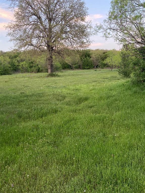 5730 Gobbler Hollow Road Brownwood, TX 76801 - Photo 28 of 37 a view of a grassy field with trees