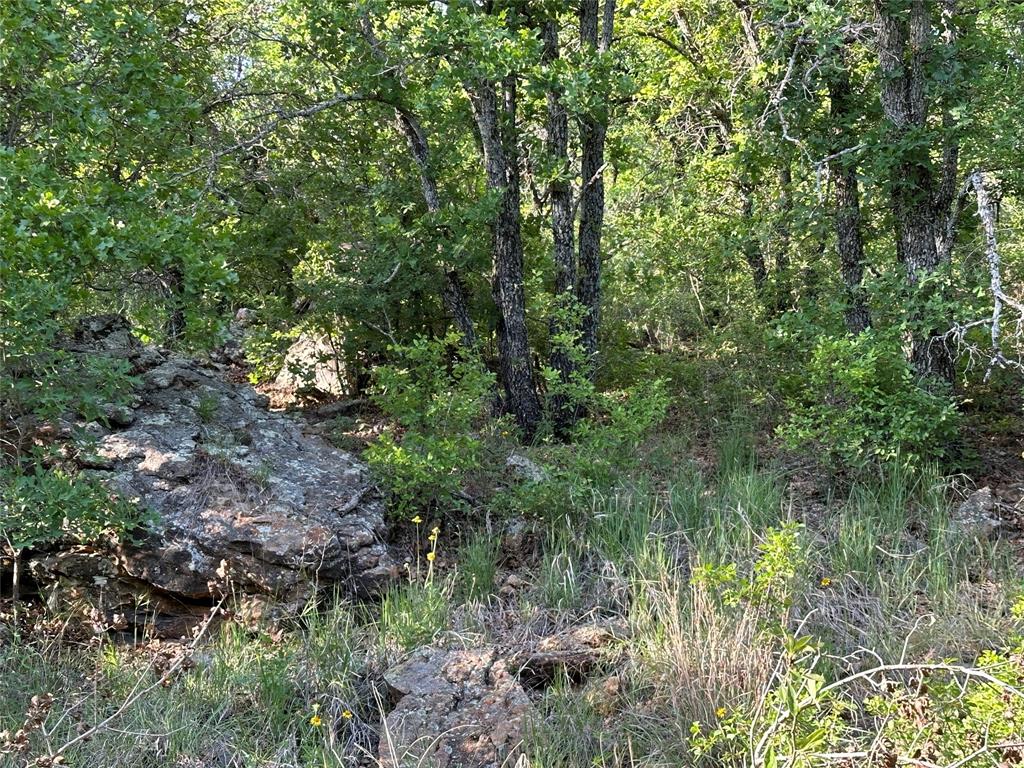 5730 Gobbler Hollow Road Brownwood, TX 76801 - Photo 29 of 37 a view of a garden with a tree