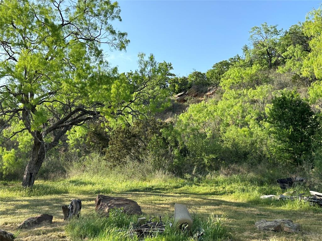 5730 Gobbler Hollow Road Brownwood, TX 76801 - Photo 30 of 37 a view of a field with a tree