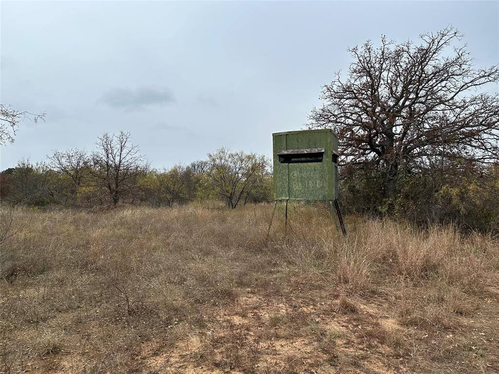 5730 Gobbler Hollow Road Brownwood, TX 76801 - Photo 33 of 37 a view of a outdoor space