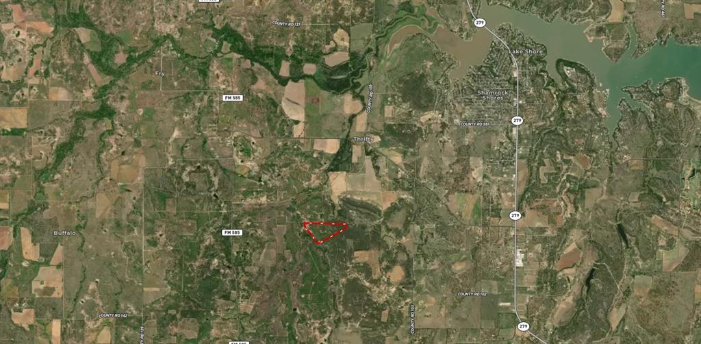 5730 Gobbler Hollow Road Brownwood, TX 76801 - Photo 36 of 37 a close up of a plant