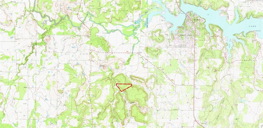 5730 Gobbler Hollow Road Brownwood, TX 76801 - Photo 37 of 37 a bathroom with a shower curtain