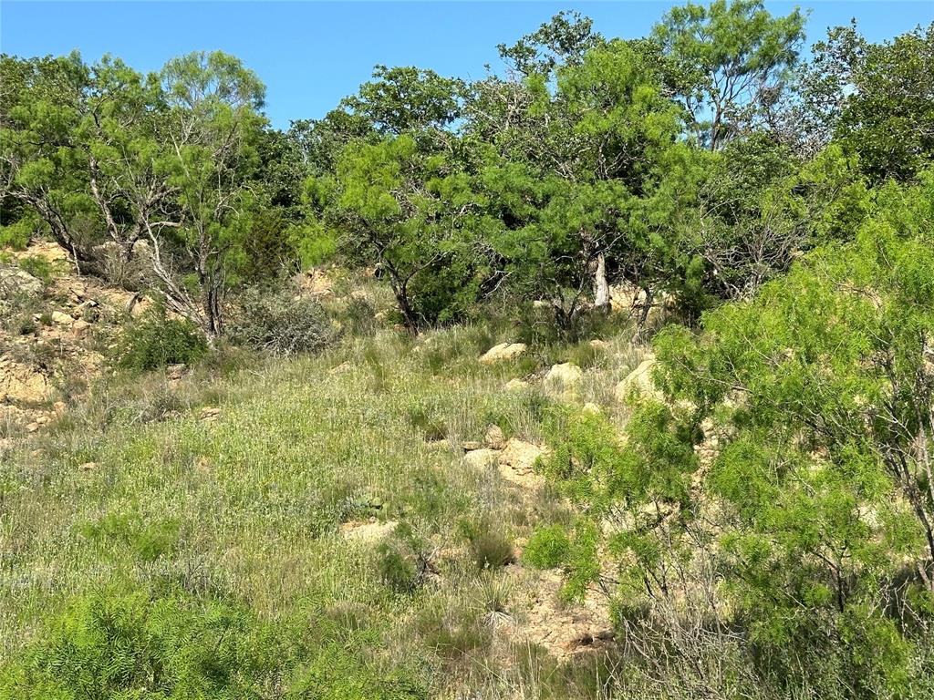 5730 Gobbler Hollow Road Brownwood, TX 76801 - Photo 5 of 37 a view of a big yard with plants and large trees