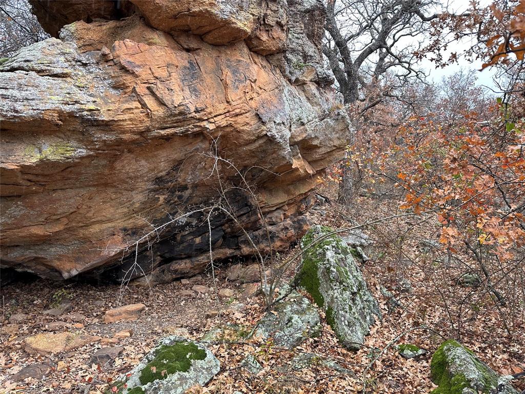 5730 Gobbler Hollow Road Brownwood, TX 76801 - Photo 9 of 37 a backyard of a house