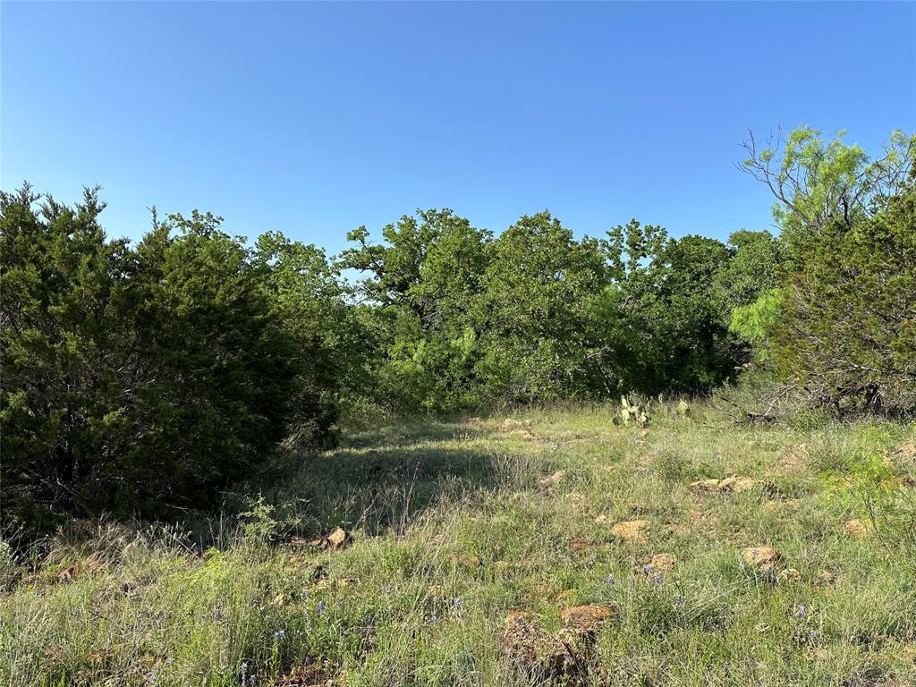5730 Gobbler Hollow Road Brownwood, TX 76801 - Photo 10 of 37