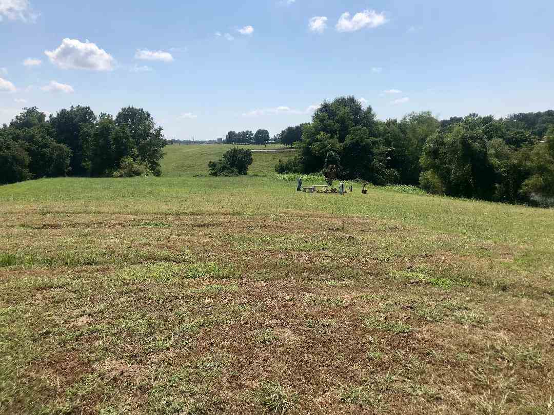 427 Bucksnort Road Covington, TN 38019 - Photo 9 of 25 Gallery Image 9