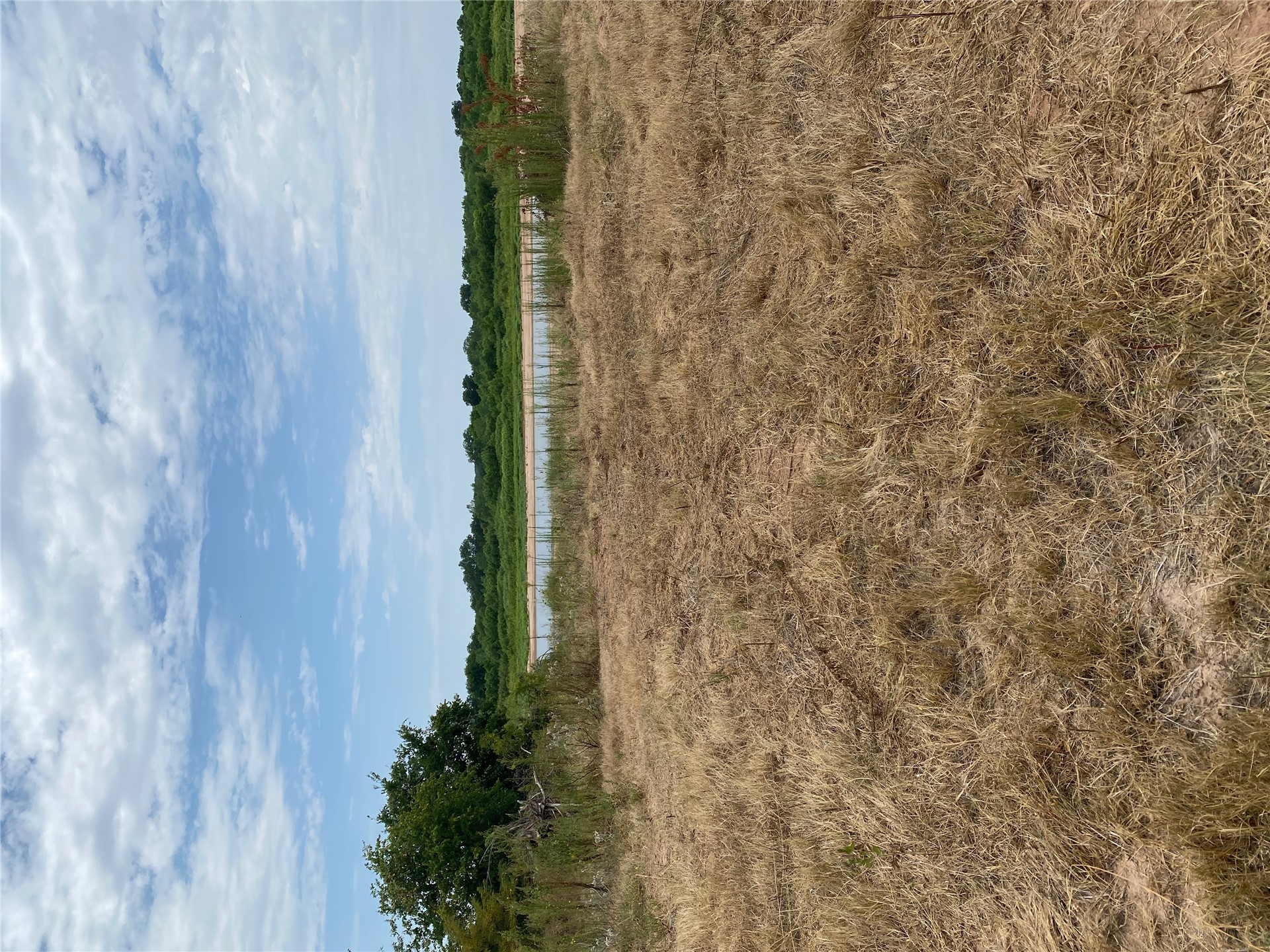 0 Mac Frazier Road Leon, OK 73441 - Photo 27 of 28 Gallery Image 27